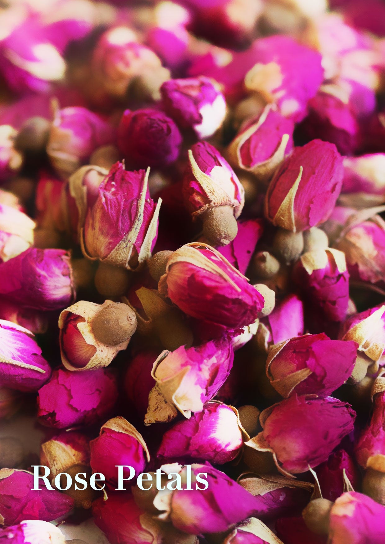 Rose Touch Petals Scrub