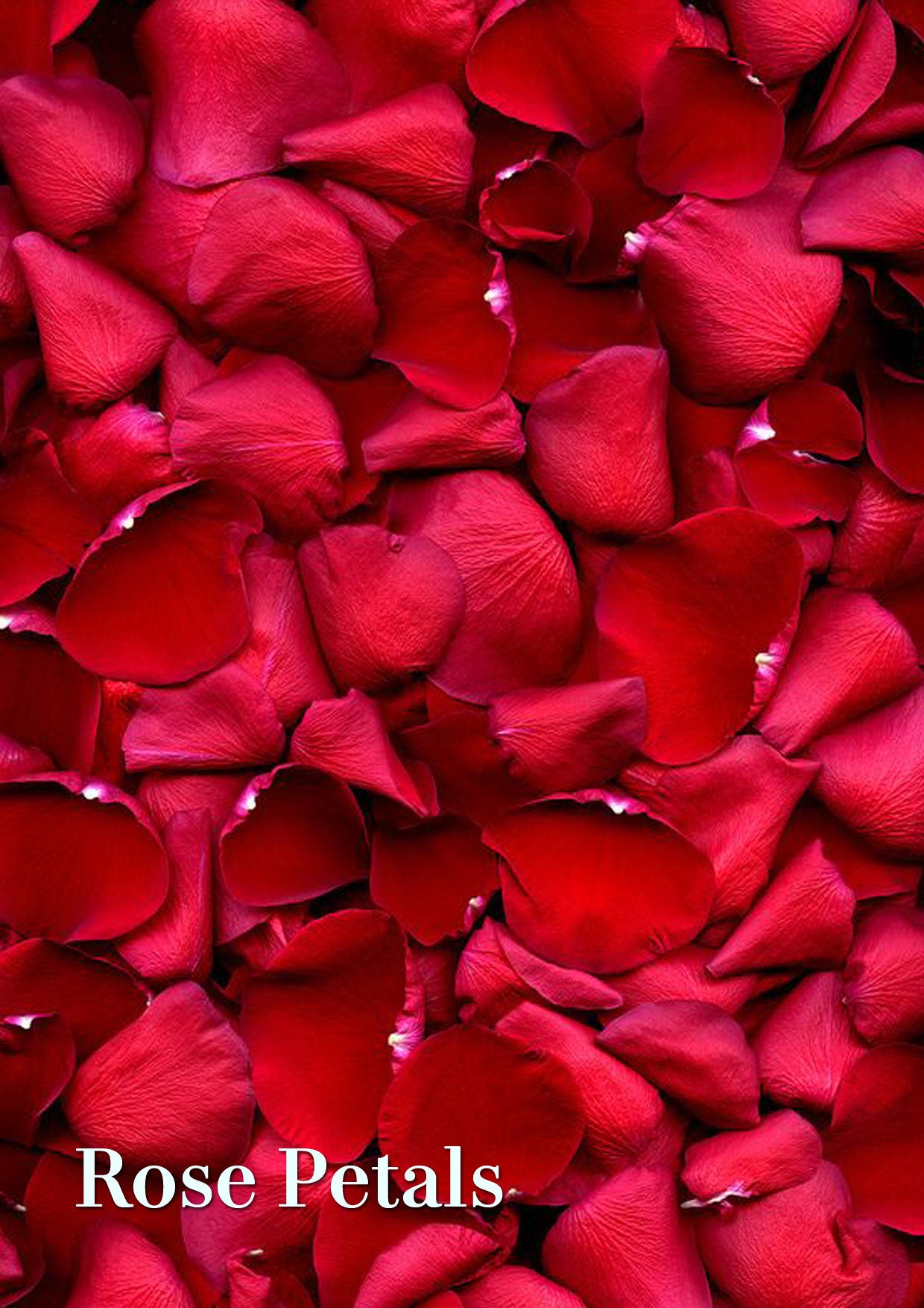 Luxe Rose Petals Face Wash